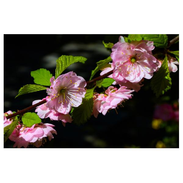 PHOTO84, CLUB, 84 , LUBERON